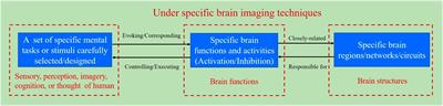 Brain-computer interface paradigms and neural coding